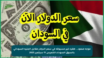 موجة صعود.. طفرة غير مسبوقة في سعر الدولار مقابل الجنيه السوداني بالسوق السوداء الخميس 11 سبتمبر 2025